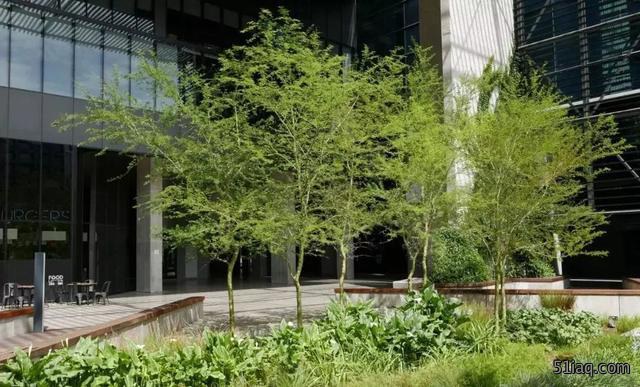 园林花境景观设计 这样的神来之笔总让人欲罢不能